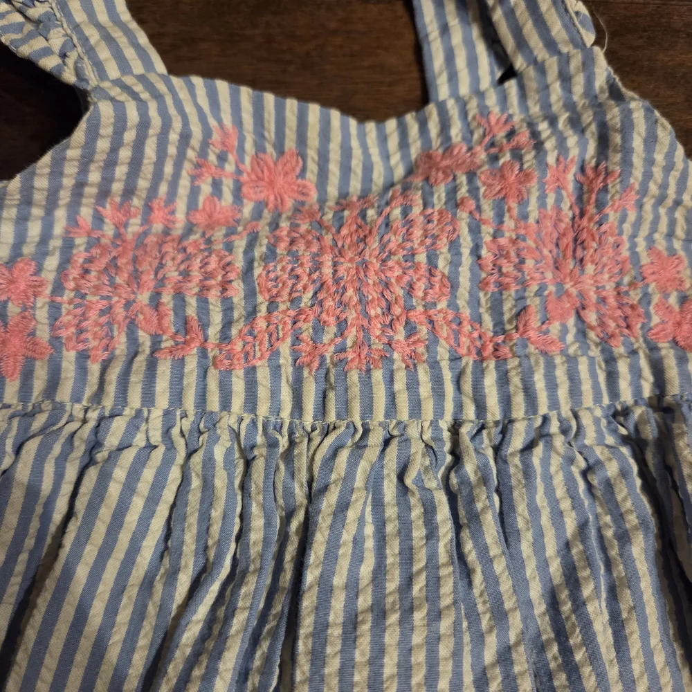 GAP Blue and White Striped Dress with Pink Accents